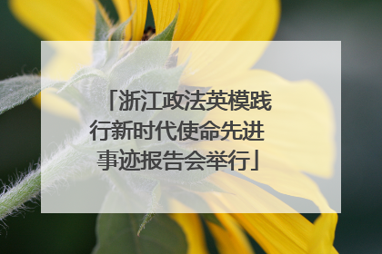 浙江政法英模践行新时代使命先进事迹报告会举行