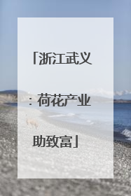浙江武义：荷花产业助致富