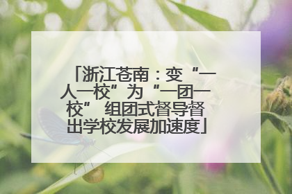 浙江苍南：变“一人一校”为“一团一校” 组团式督导督出学校发展加速度