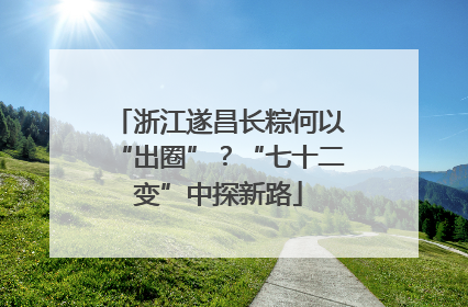浙江遂昌长粽何以“出圈”？“七十二变”中探新路