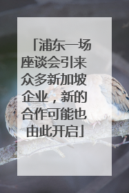 浦东一场座谈会引来众多新加坡企业，新的合作可能也由此开启