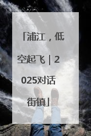 浦江，低空起飞｜2025对话街镇