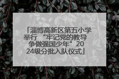 淄博高新区第五小学举行 “牢记党的教导 争做强国少年”2024级分批入队仪式