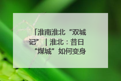 淮南淮北“双城记”｜淮北：昔日“煤城”如何变身文旅“美城”？
