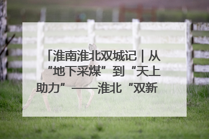 淮南淮北双城记｜从“地下采煤”到“天上助力”——淮北“双新”产业突围记