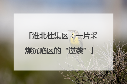 淮北杜集区：一片采煤沉陷区的“逆袭”