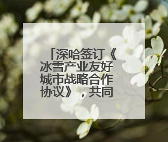深哈签订《冰雪产业友好城市战略合作协议》，共同推进两地冰雪体育文化旅游高质量发展