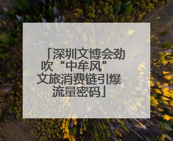 深圳文博会劲吹“中牟风” 文旅消费链引爆流量密码