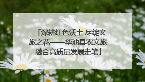 深耕红色沃土 尽绽文旅之花——华池县农文旅融合高质量发展走笔