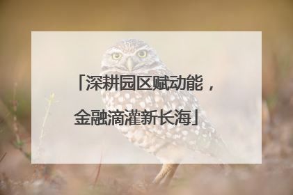 深耕园区赋动能，金融滴灌新长海