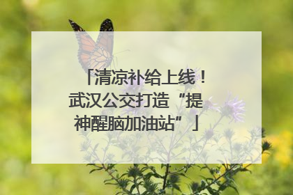 清凉补给上线！武汉公交打造“提神醒脑加油站”