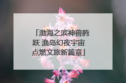 渤海之滨神兽腾跃 渔岛幻夜宇宙点燃文旅新篇章