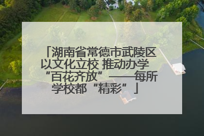 湖南省常德市武陵区以文化立校 推动办学“百花齐放”——每所学校都“精彩”