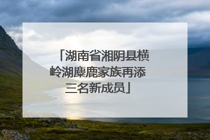 湖南省湘阴县横岭湖麋鹿家族再添三名新成员