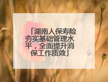 湖南人保寿险夯实基础管理水平，全面提升消保工作质效