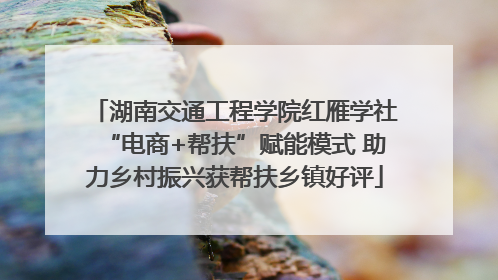湖南交通工程学院红雁学社“电商+帮扶”赋能模式 助力乡村振兴获帮扶乡镇好评
