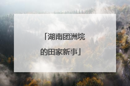 湖南团洲垸的田家新事