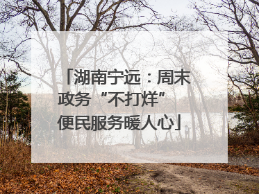 湖南宁远：周末政务“不打烊” 便民服务暖人心