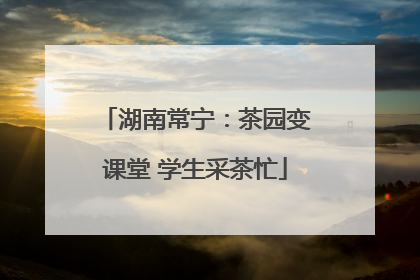 湖南常宁：茶园变课堂 学生采茶忙