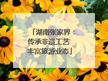 湖南张家界：传承非遗工艺 丰富旅游业态