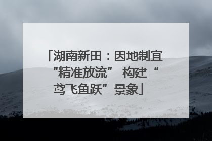 湖南新田：因地制宜“精准放流” 构建“鸢飞鱼跃”景象