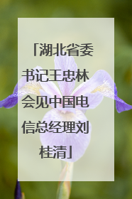 湖北省委书记王忠林会见中国电信总经理刘桂清