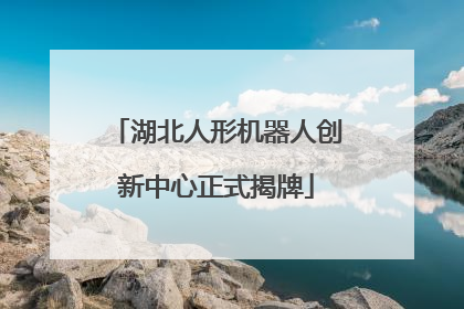 湖北人形机器人创新中心正式揭牌