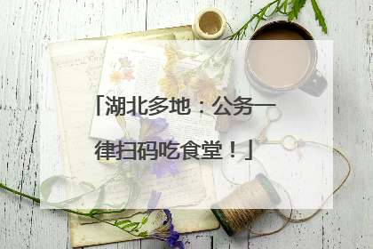 湖北多地：公务一律扫码吃食堂！