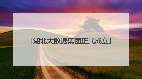 湖北大数据集团正式成立