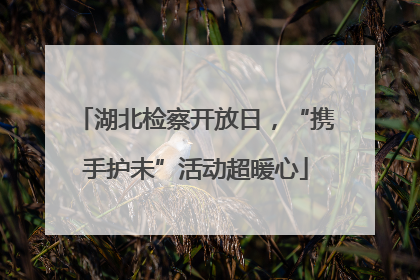 湖北检察开放日，“携手护未”活动超暖心