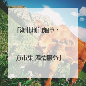 湖北荆门烟草：一方市集 温情服务