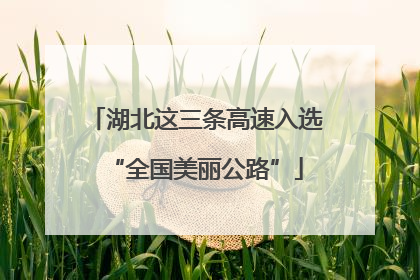 湖北这三条高速入选“全国美丽公路”