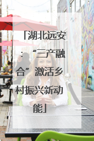 湖北远安：“三产融合”激活乡村振兴新动能