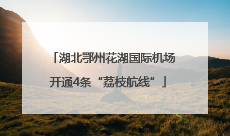 湖北鄂州花湖国际机场开通4条“荔枝航线”