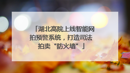湖北高院上线智能网拍预警系统，打造司法拍卖“防火墙”