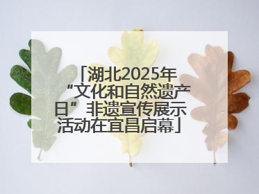 湖北2025年“文化和自然遗产日”非遗宣传展示活动在宜昌启幕