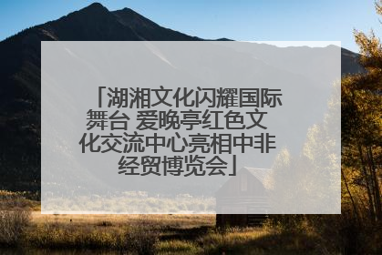 湖湘文化闪耀国际舞台 爱晚亭红色文化交流中心亮相中非经贸博览会