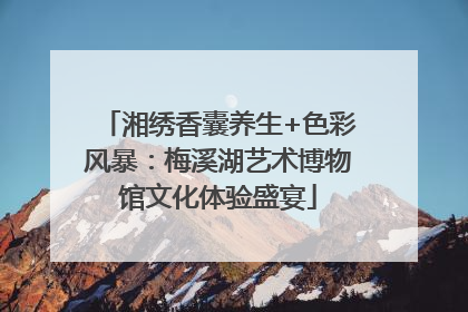 湘绣香囊养生+色彩风暴：梅溪湖艺术博物馆文化体验盛宴