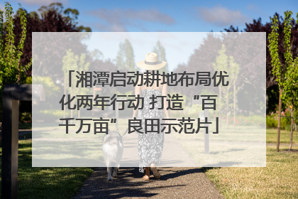 湘潭启动耕地布局优化两年行动 打造“百千万亩”良田示范片