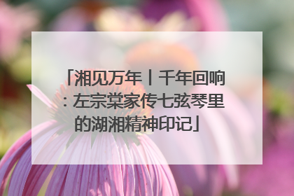 湘见万年丨千年回响：左宗棠家传七弦琴里的湖湘精神印记