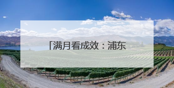 满月看成效：浦东用“两个100万”点亮青年人才梦想