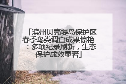 滨州贝壳堤岛保护区春季鸟类调查成果惊艳：多项纪录刷新，生态保护成效显著