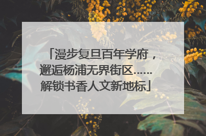 漫步复旦百年学府，邂逅杨浦无界街区……解锁书香人文新地标
