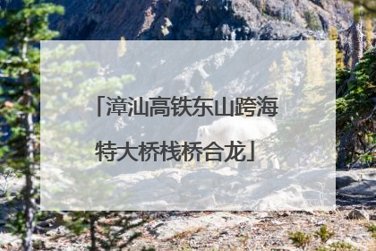 漳汕高铁东山跨海特大桥栈桥合龙