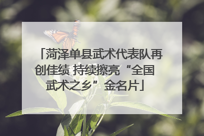 菏泽单县武术代表队再创佳绩 持续擦亮“全国武术之乡”金名片