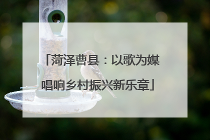 菏泽曹县：以歌为媒 唱响乡村振兴新乐章