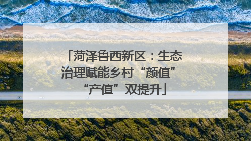 菏泽鲁西新区：生态治理赋能乡村“颜值”“产值”双提升