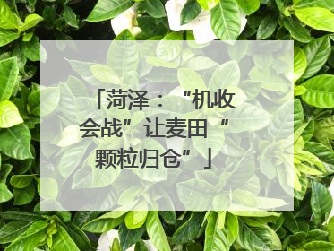 菏泽：“机收会战”让麦田“颗粒归仓”