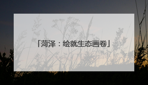 菏泽：绘就生态画卷