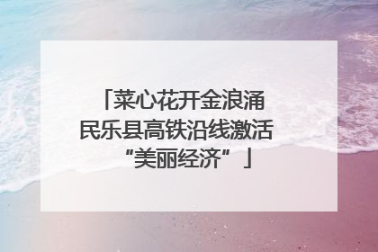 菜心花开金浪涌 民乐县高铁沿线激活“美丽经济”